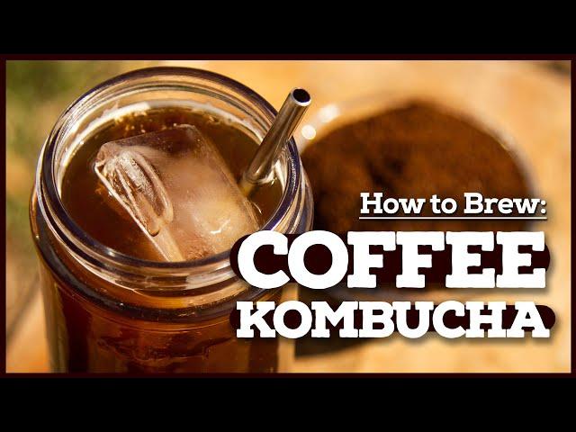 What is KOFFUCHA? How to make Coffee Kombucha ️