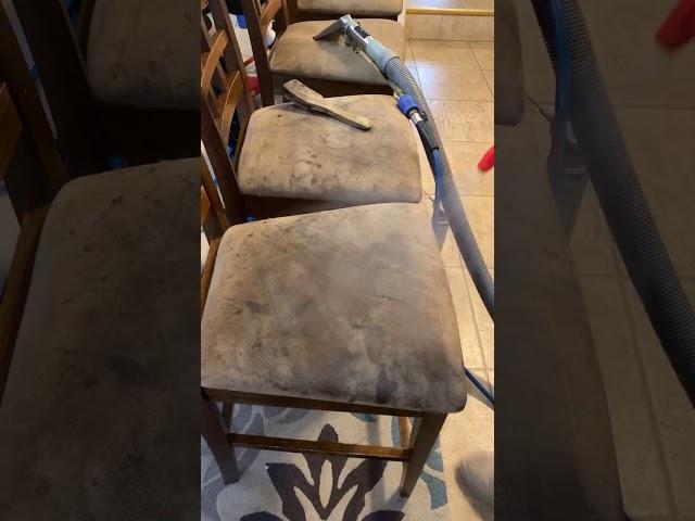 Steam cleaning microfiber chairs! Huge difference!!!