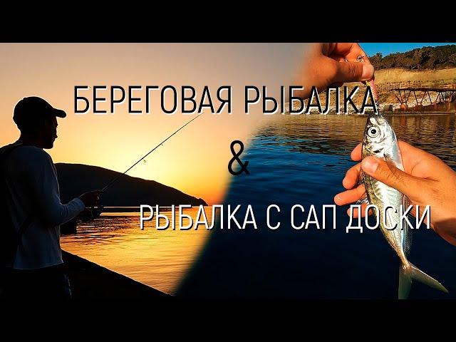 Ловля крупной ставриды с сап доски в Черном море.