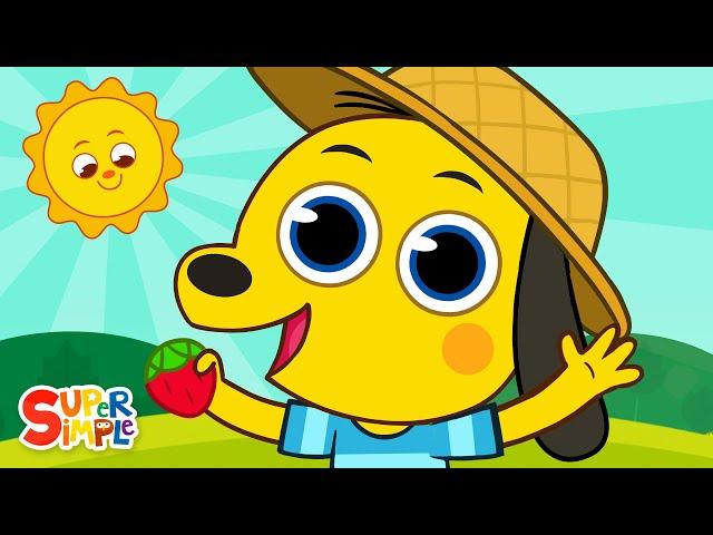 Picked A Strawberry |  Kids Counting Song | Super Simple Songs