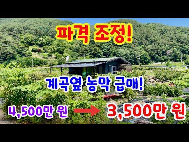 [157] 거창땅 거창토지 파격 조정 계곡옆 농막 급매! 434m2(131평)