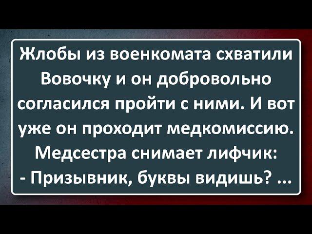 Вовочка Добровольно Проходит Медицинскую Комиссию! Сборник Анекдотов Синего Предела №197