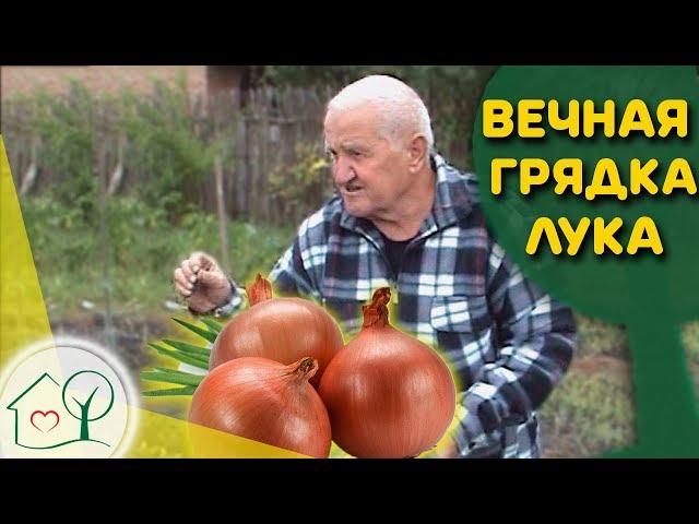 Бублик Б.А. Вечная грядка лука  Огород без хлопот