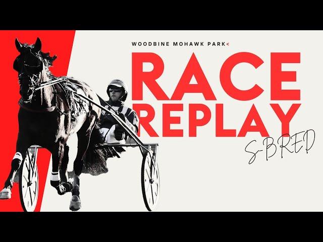 Mohawk, Sbred, November 25, 2024 Race 10 | Woodbine Horse Race Replay