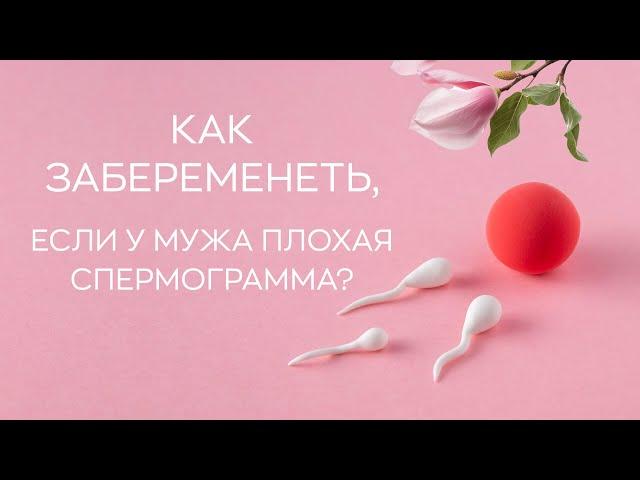 ​ Как забеременеть, если у мужа плохая спермограмма?