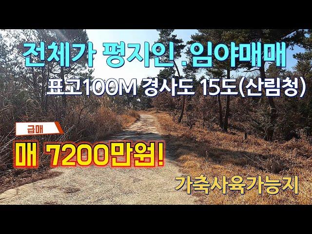 전체가 평지인 임야매매~경사도15도 염소사육가능 ~이런임야 더이상 없습니다~경남 함천임야매매 세상사는부동산
