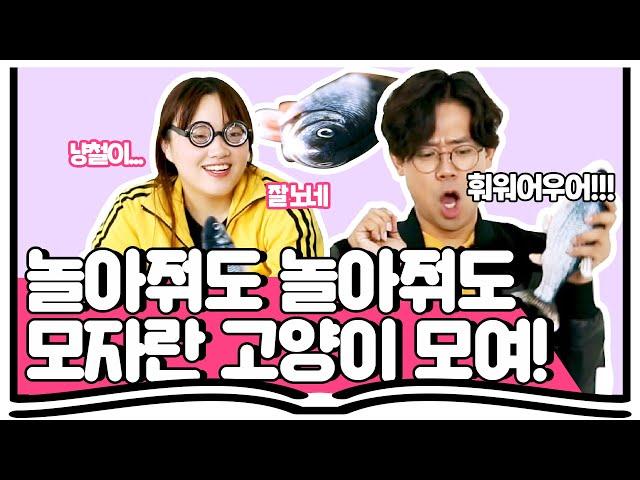 손끝까지 전율시킨 고양이 자동장난감 EP.13 [집사의 정석]