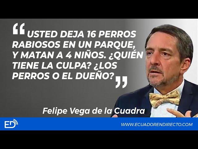 USTED DEJA 16 PERROS RABIOSOS EN 1PARQUEyM4T4N A 4 NIÑOS¿QUIÉN TIENE LA CULPA?¿LOS PERROS oEL DUEÑO?