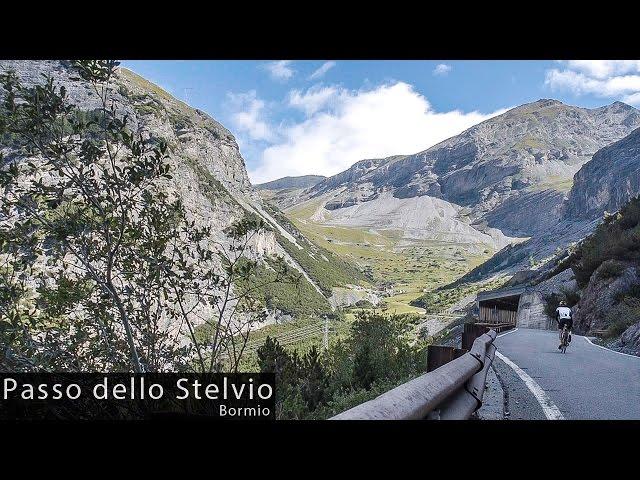 Passo dello Stelvio (Bormio) - Cycling Inspiration & Education