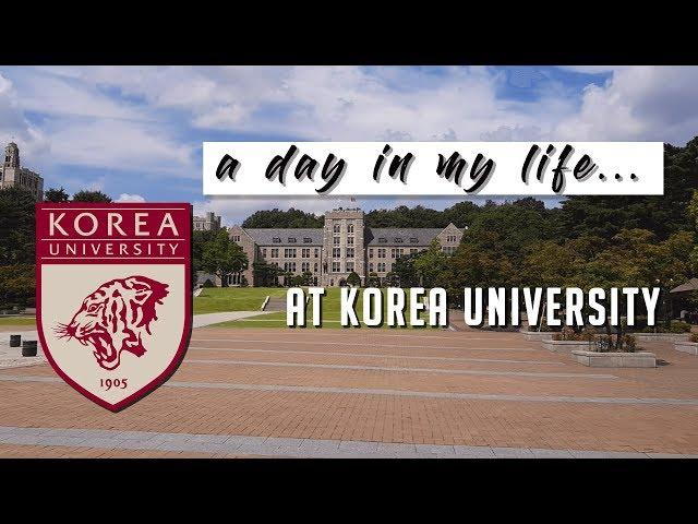a day in my life: Korea University [UNIVLOG#1]