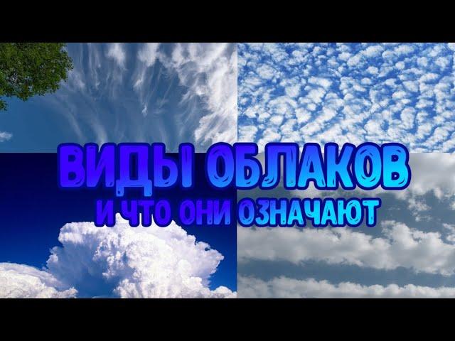 Виды Облаков И Что Они Означают ️