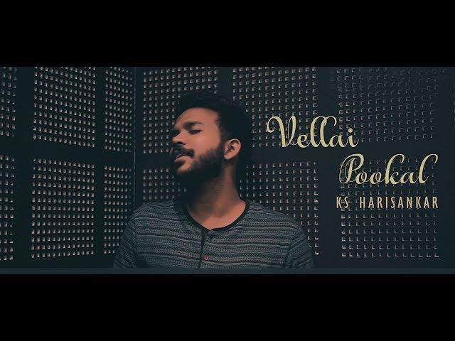 Vellai Pookal | Kannathil Muthamittal  | KS Harisankar | Cover Version