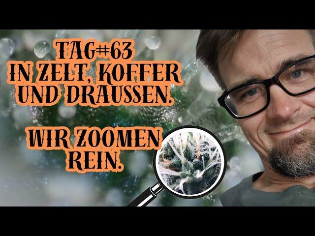 Tag #63 in Zelt, Koffer und draußen. Wir zoomen rein!