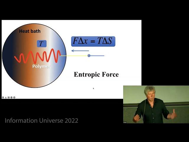 Erik Verlinde  "Emergence of Gravity from Quantum Information: a Progress Report"