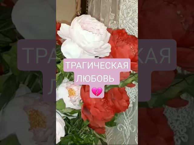 Трагическая любовь Карины Таро