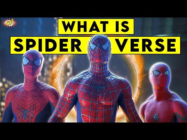 What is Spider-Verse Explained || ComicVerse