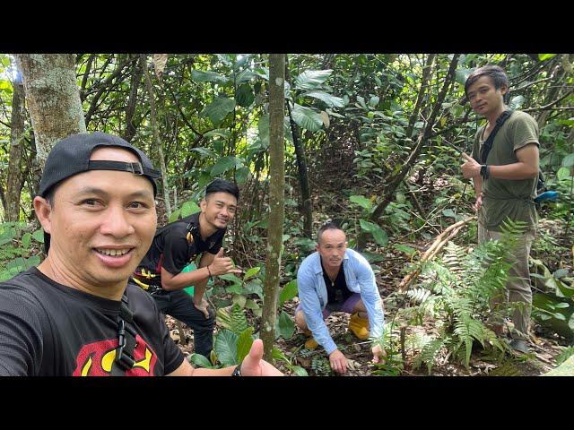 Sambung part 2 Mamasang Jerat Babi Hutan