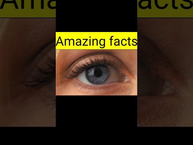 गजब Facts l #trending /#facts /#viralvideo