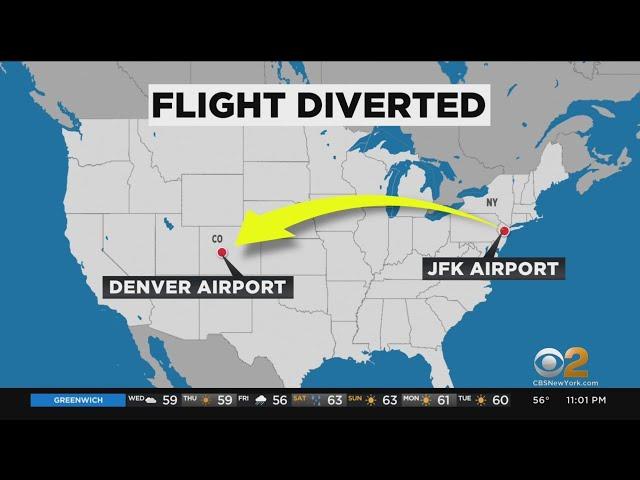 AA Flight From JFK To Santa Ana Diverted To Denver Airport