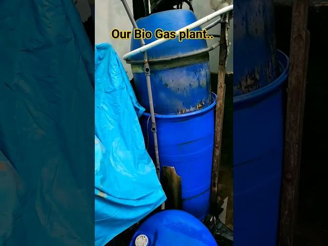 ️Our Bio Gas plant #biogasplant #shortsfeed #wastemanagement