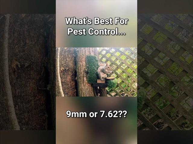 Is 7.62 too much?