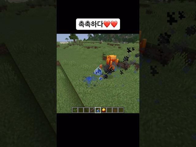 촉촉하다