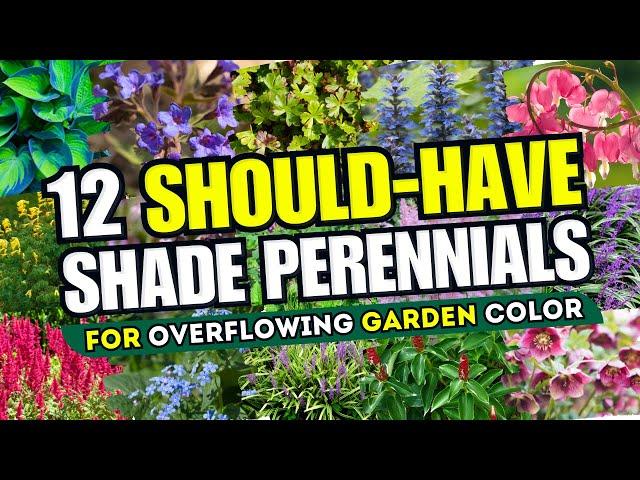  TRANSFORM YOUR SHADE! 12 Best Shade Perennials for Overflowing Garden Color! 