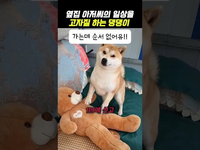 옆집 아저씨의 일상을 고자질 하는 댕댕이