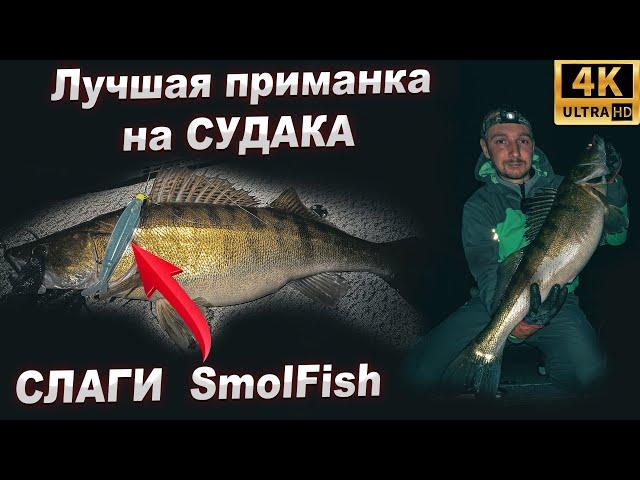 Лучшая приманка на судака! Ловля судака на слаги SmolFish