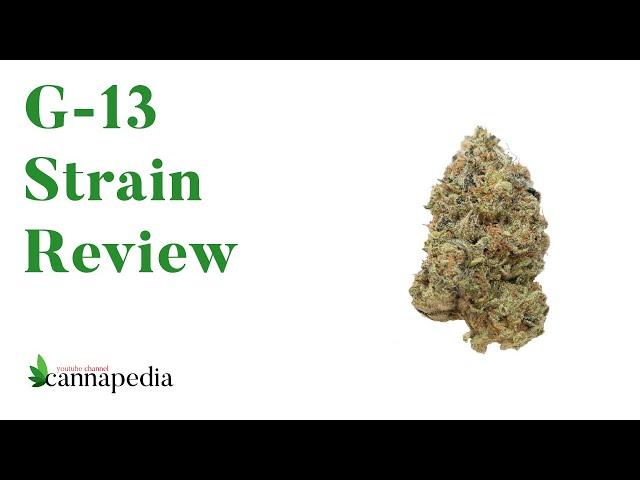 G-13 • კანაფის ჯიშის განხილვა • Strain Review • Cannapedia