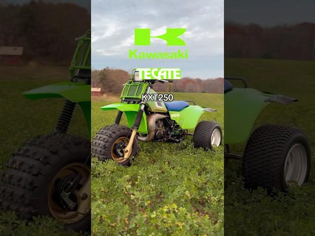 1984 Kawasaki kxt 250 tecate 3 wheeler #kawasaki #tecate #kxt250 #threewheeler
