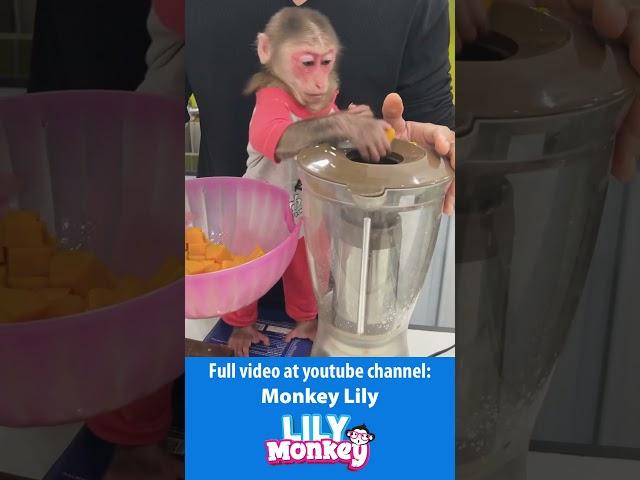Dad serves Lily a healthy breakfast pumpkin milk and steamed vegetables #shorts #short #monkey