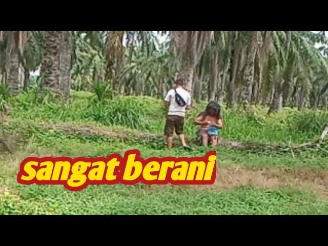 SEORANG PEMUDA SANGAT BERANI DATANGI MANTE/mante bunian