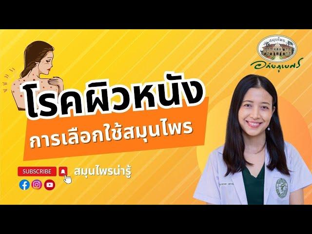 โรคผิวหนัง การเลือกใช้สมุนไพร l สมุนไพรน่ารู้ (2023)