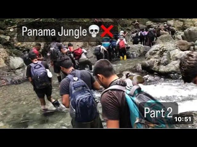 50 lakh wasted  | Panama jungle donkey real video | USA donkey border crossing | Haryanvi vlogs