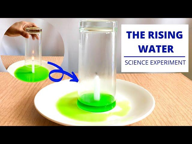 The Rising Water - Science Experiment | Why Does Water Rise Up - Explained |