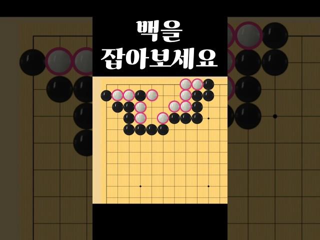 쉬운 바둑 사활 - 첫 수를 맞추면 유단자