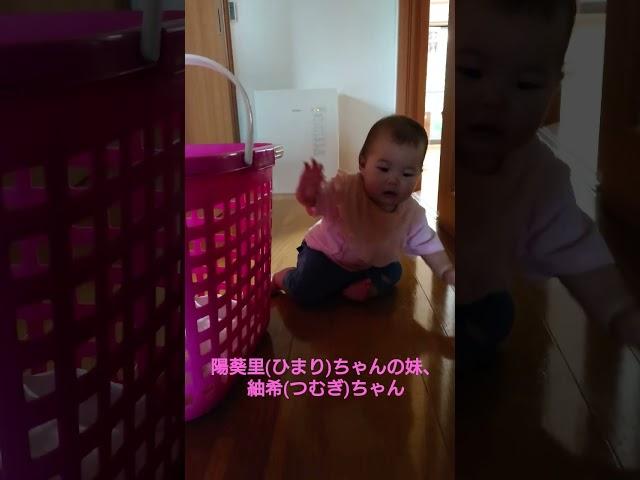 陽葵里(ひまり)ちゃんの妹、紬希(つむぎ)ちゃん洗濯物カゴで遊ぶ。#陽葵里ちゃん#妹#紬希ちゃん#つむぎちゃん#紬希#つむぎ#つむ#ひまりちゃん#ひまりちゃんの妹#洗濯物カゴ#つむ#つむちゃん