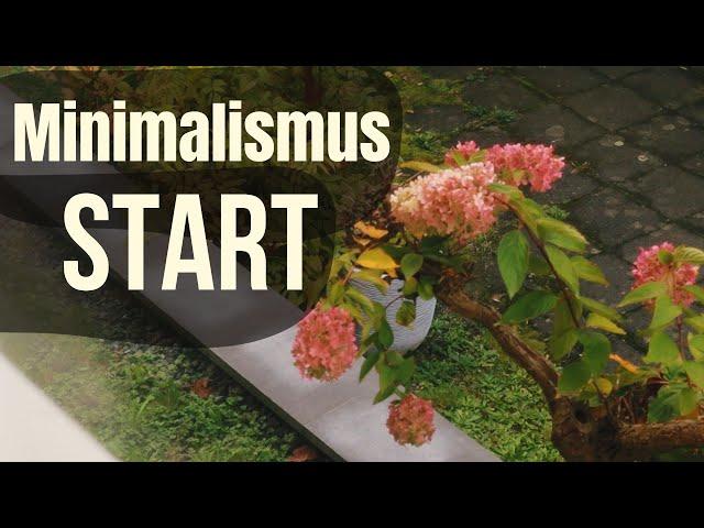 START in den MINIMALISMUS | Was würde ich tun? (wenn ich wieder beginnen würde)