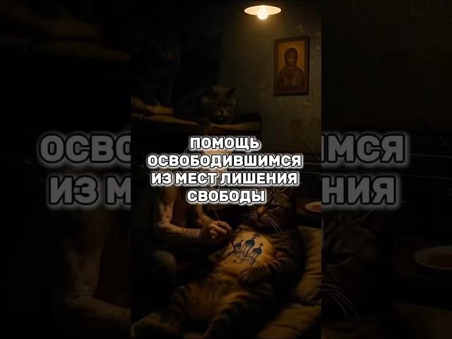 Помощь освободившимся из мест лишения свободы #реабилитация