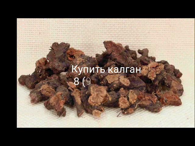 Калган лапчатка прямостоячая (корень) купить в Ессентуках