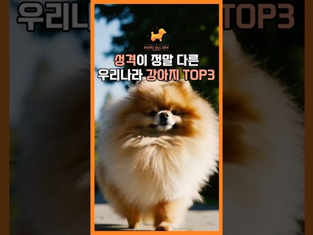 성격이 정말 다른 우리나라 대표 강아지 TOP