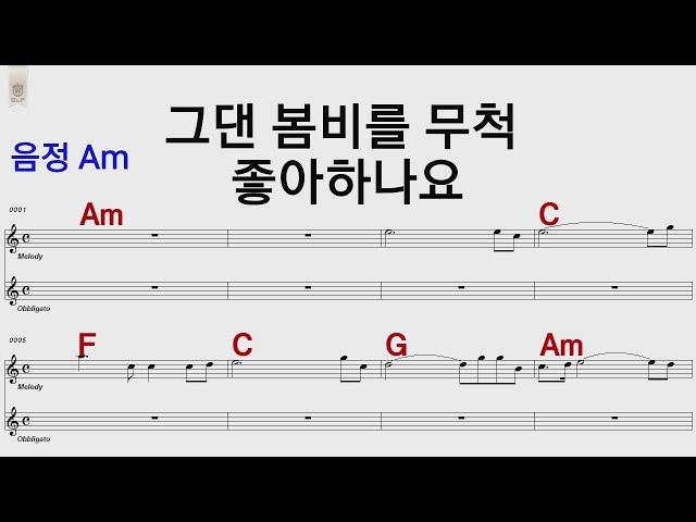 그댄 봄비를 무척 좋아하나요 배따라기Am/통기타카포.오카리나 악보영상