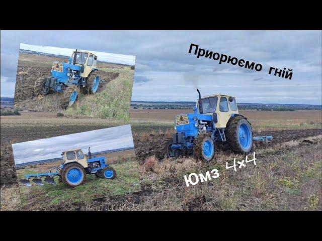 Юмз-6 4×4 Приорюємо гній значить буде врожай