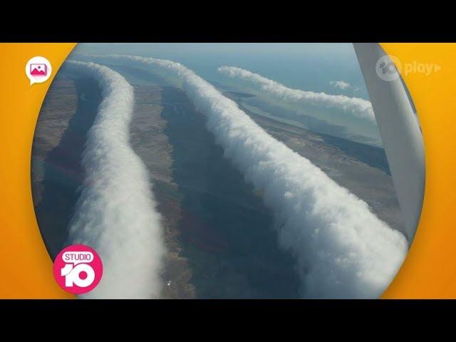 Chemtrails: Conspiracy Or Fact? | Studio 10