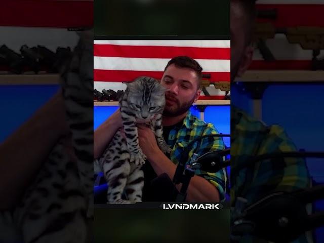 Lvndmark's cat demands attention #escapefromtarkov #lvndmark #tarkov