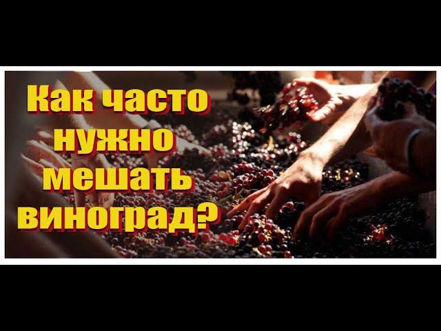 Домашнее вино - как часто нужно перемешивать вино?