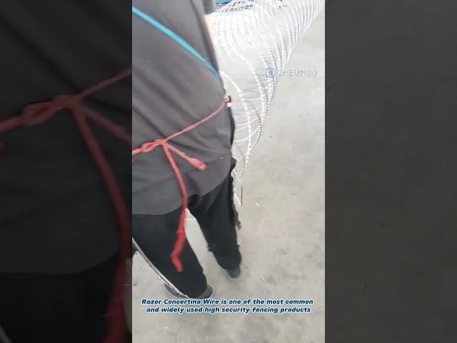 Razor Concertina Wire for sales - Keep Security