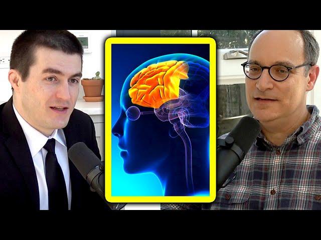 Prefrontal Cortex (Matt Botvinick) | Lex Fridman