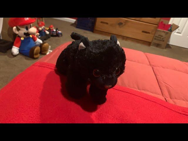 Wild republic black cat ‍⬛ toy review